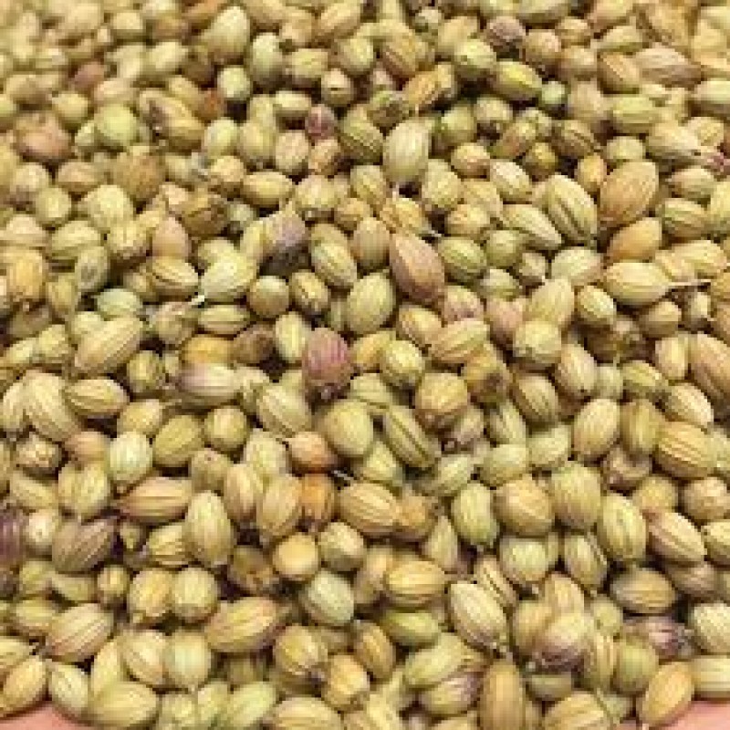 Coriander seeds from Kenya